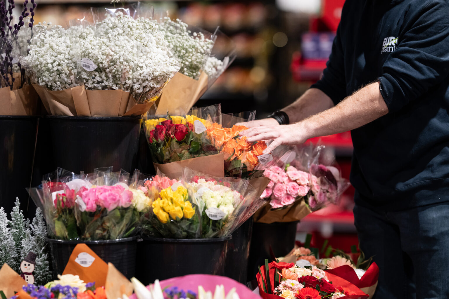 Europlantes - Spécialiste du Retail. Assortiments réguliers et optimisés en Wallonie Bruxelles et Grand Duché du Luxembourg