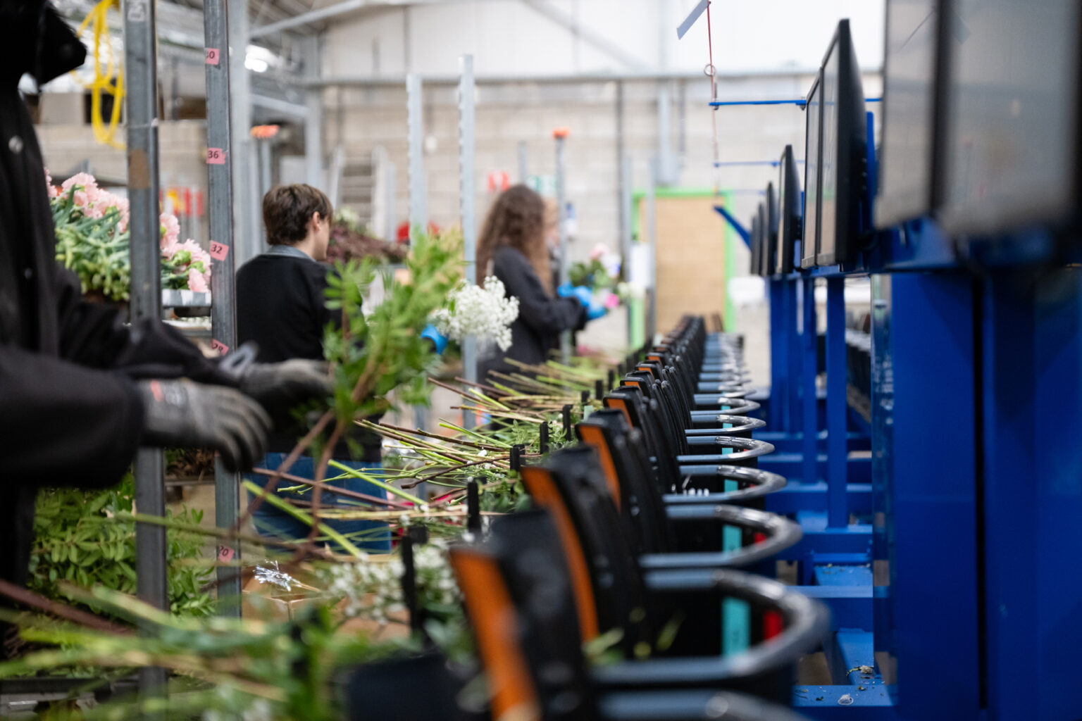 euro-plantes-fleuriste-grande-distribution_7812-1